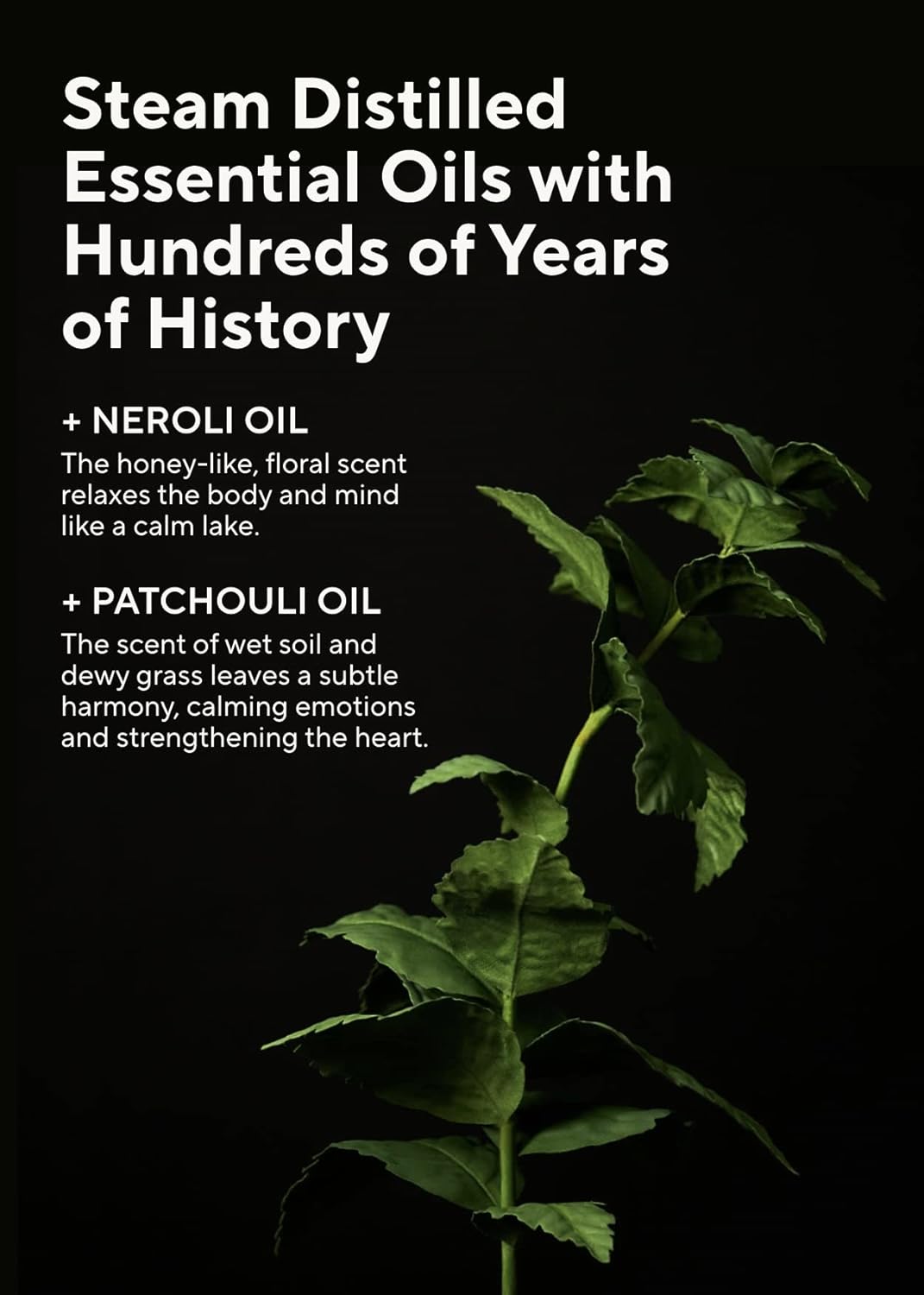 Aromatica Embrace Body Wash Neroli & Patchouli 300ml