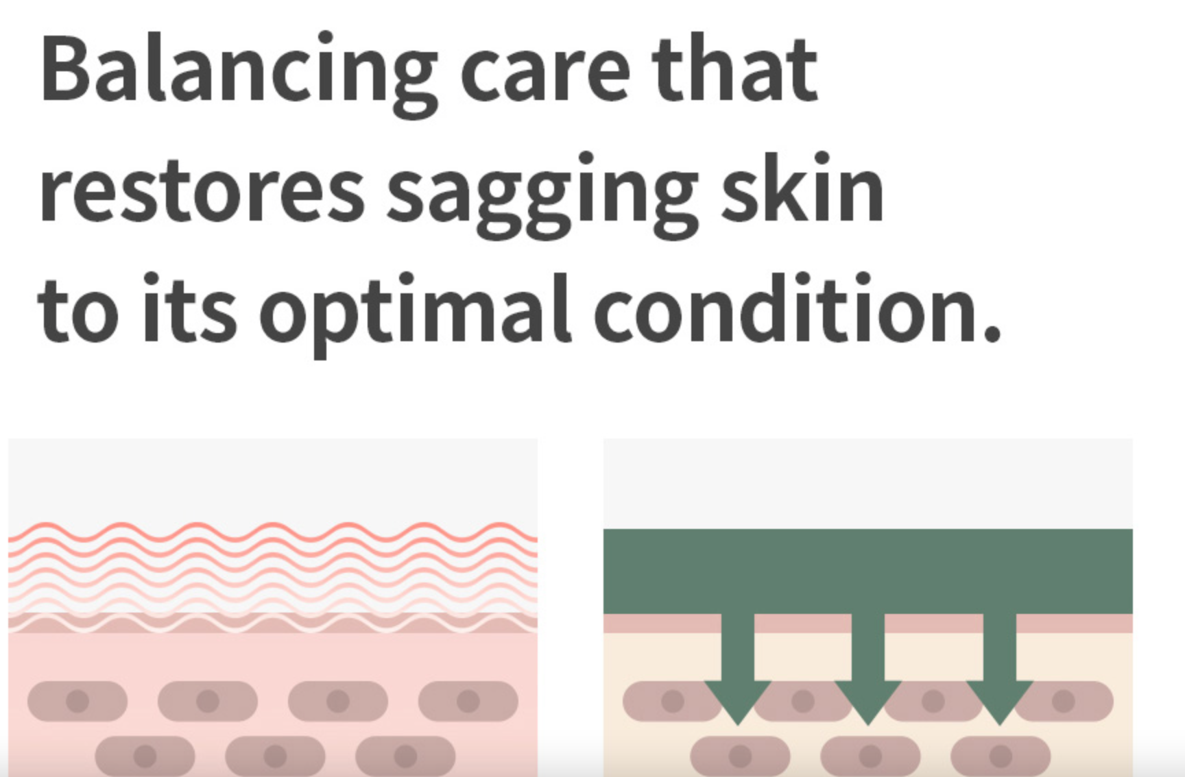 ISNTREE Mugwort Calming Cream 50ml