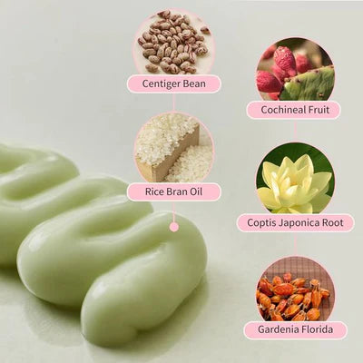 Beauty of Joseon Jelloskin Massage Cream